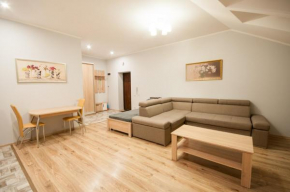 Wonderful flat on city center (Mukachivska 4/15)